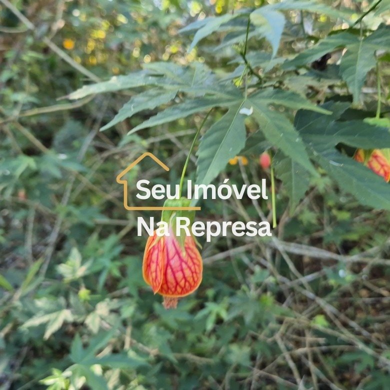 CHÁCARA PÉ NA ÁGUA COM +6.000m² NO BAIRRO COSTA AZUL